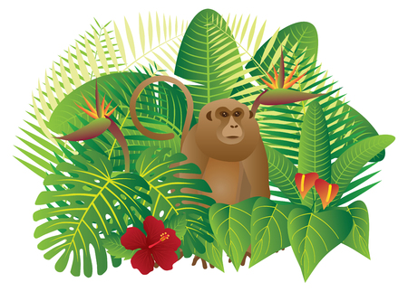 Tropical Rain Forest  Jungle Plants with Leaves Flowers and Monkey Isolated on White Background Color Illustrationのイラスト素材