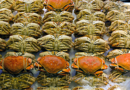 Rolls of Dungeness crabs display on ice at fresh seafood stall in public marketの写真素材