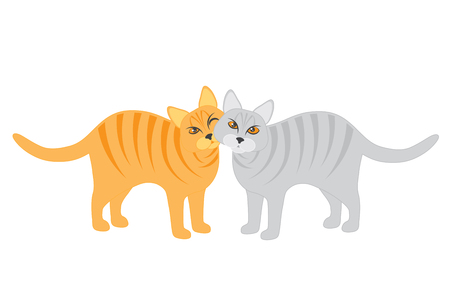 Pair of Calico and Tabby Cats Snuggling isolated on white background illustrationのイラスト素材