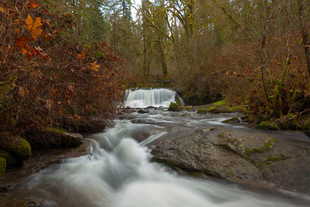 Bridge over McDowell Creek Falls in Oregon County Park during winterの写真素材