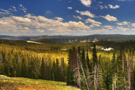 Heart of the Caldera-Yellowstoneの写真素材