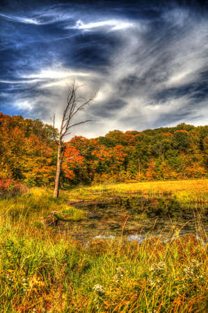 Fall Skyの写真素材