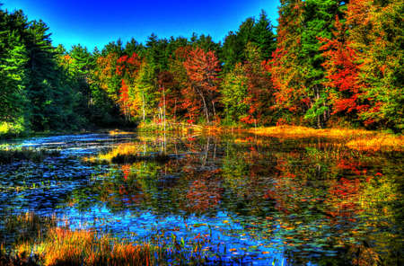 New Hampshire Fallの写真素材