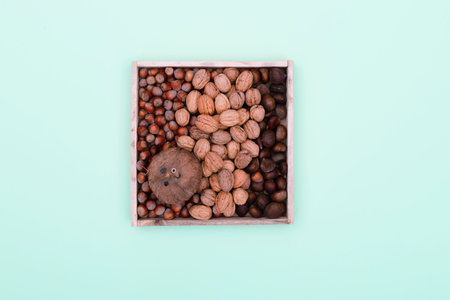 Box with an assortment of nuts and a coconutの写真素材