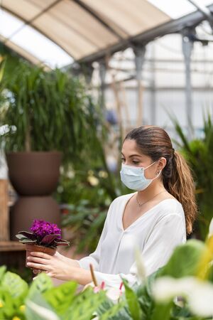 Young woman using a surgical mask checking a beautiful small plant with out of focus plants at the front and an out of focus background. Garden center and shopping concept.の写真素材