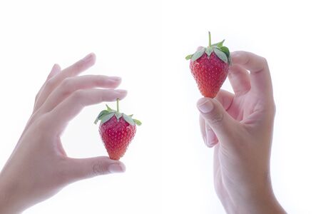 Close up of female hands holding delicious looking strawberries on a light background. Healthy food and lifestyle concept.の写真素材