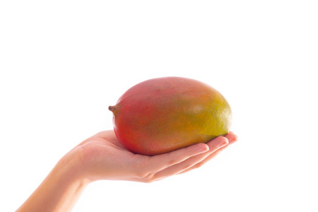 Close up of a female hand holding a delicious looking mango on a light background. Healthy food concept.の写真素材