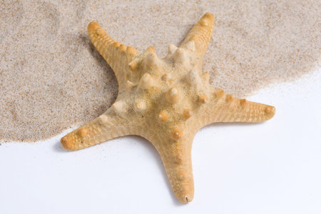 Beautiful starfish with sand beach 