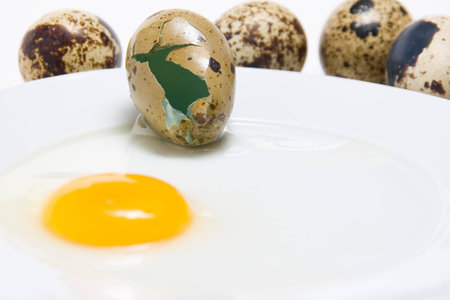 Forefront of the eggshell of a quail egg on a plate