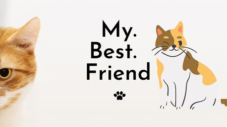 dog, love, pet shop, feed, promotion, animal, pet,cat