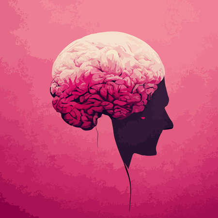 beautiful pink illustration of the human brain. World mental health day. human brain wallpaper.の写真素材
