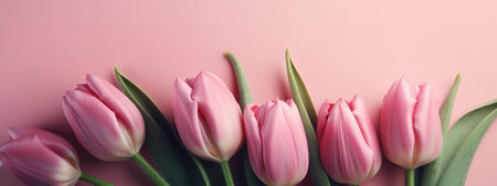 Monochromatic pink tulip arrangement for Mother's Day bannerの写真素材