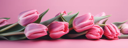Pink on pink tulip bouquet for Mother's Day celebrationの写真素材