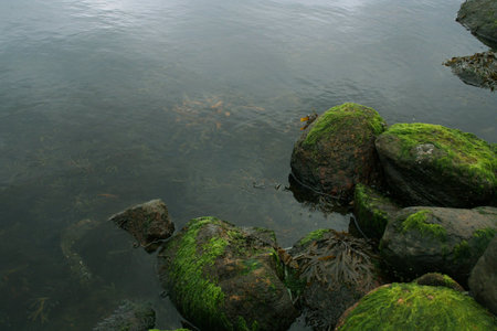 Tides Out