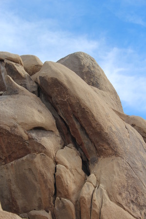 Joshua Tree National Park Landscapeの写真素材