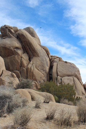 Joshua Tree National Park Desert Landscapeの写真素材