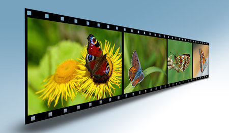 Filmstrip with butterfliesの写真素材