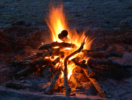 Fire at the coast in the evening の写真素材
