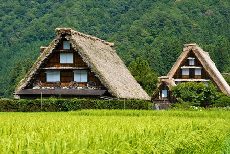 The world heritage Shirakawa-go.の写真素材
