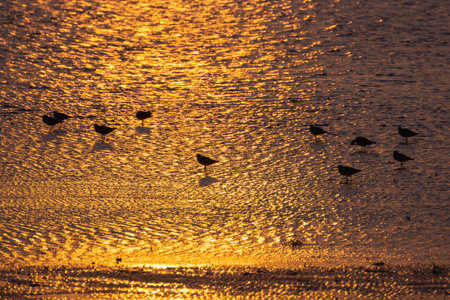 Beautiful sunset reflection