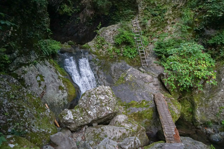 waterfall in the forest in japanの写真素材