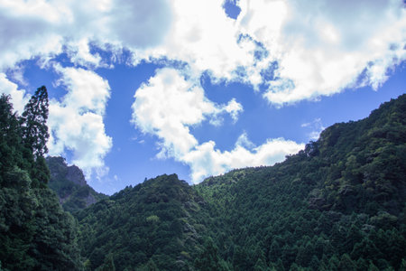 Rural scenery, rice field with superb viewの写真素材