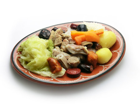 Portuguese backed in a white backgroundの写真素材