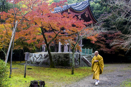A buddhist monk walks in Daigoji Temple in autumn. Kyoto, Japan. A World Heritage Site since 1994のeditorial素材