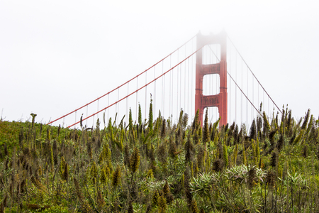 The Golden Gate Bridge as seen from Fort Point. San Francisco, Californiaの写真素材