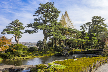 Yukitsuri (ropes for preserving trees) in Kenroku-en (Six Attributes Garden), one of the Three Great Gardens of Japan, located in Kanazawa, Ishikawa Prefectureのeditorial素材