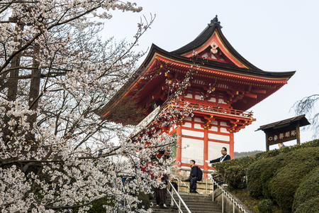 Beautiful sakura cherry blossoms during the hanami in Kiyomizu-dera Buddhist Temple, Kyoto, Japanのeditorial素材