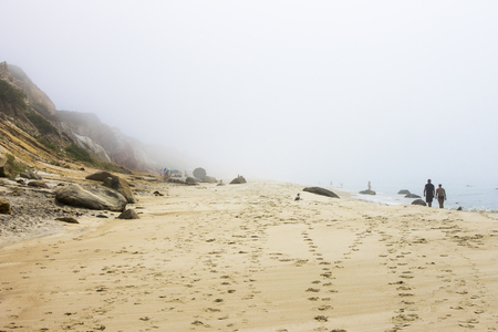 Martha's Vineyard, Massachusetts. Dunes at Gay Head Cliffs beach on a foggy summer morningの写真素材