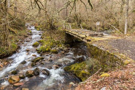Asturias, Spain. The Muniellos Nature Reserve (Reserva natural integral), protected area of woodland...