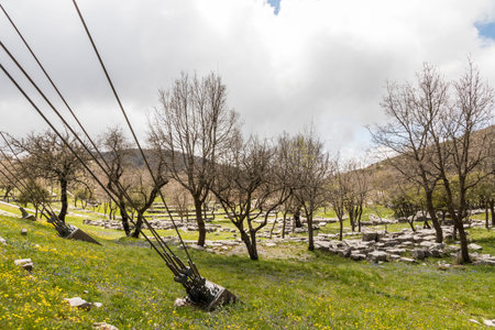 Bassae, Greece. Large ruined columns of the Temple of Apollo Epicurius inside a tent