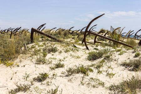 Tavira, Portugal. The Cemiterio das Ancoras (Anchor Cemetery), a major landmark in Praia do Barril beach in Ilha de Tavira islandの写真素材