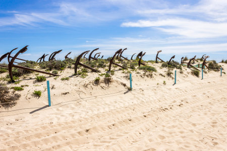 Tavira, Portugal. The Cemiterio das Ancoras (Anchor Cemetery), a major landmark in Praia do Barril...