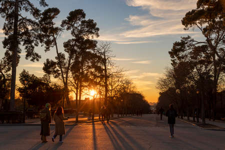 Madrid, Spain. Trees of the Buen Retiro park at sunsetのeditorial素材