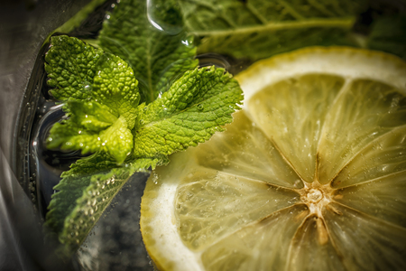 A close-up of a glass of tonic with lemon and mintの写真素材