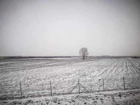 Plain land covered with snow in Vojvodina in Serbiaの写真素材