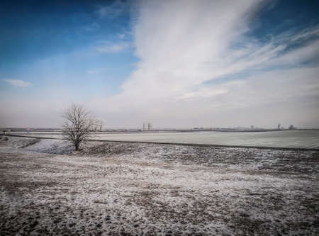 Plain land covered with snow in Vojvodina in Serbiaの写真素材