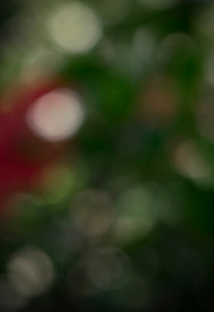 Abstract dark green background with bokeh effectの写真素材