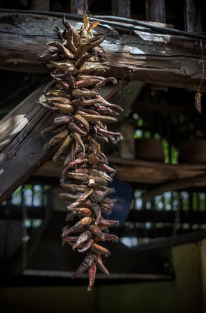 Dry peppers hanging in an old barn in the countrysideの写真素材