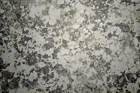 plywood texture