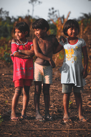 Child poverty in Brazil. Group of indian children from ParÃ¡ State, Baixo Amazonas, Amazon, Brazil. 2010.のeditorial素材