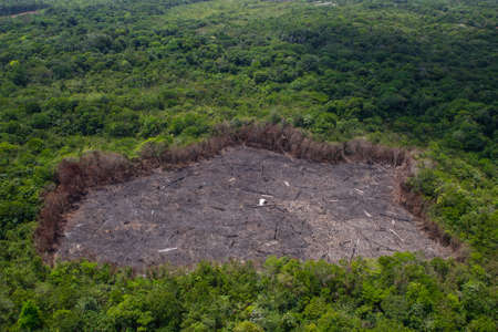 Deforestation of the Amazon rainforest. Patch of forest burnt to the ground. Environment, ecology, climate concepts.の写真素材