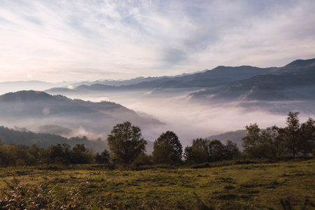View from above of a valley covered by fog in a spring dawn at the north of Spain with some trees...