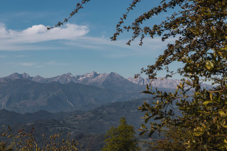 Landscape of high mountains and peaks framed in the foreground by branches with green leaves. Travel...