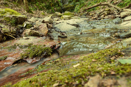 A stream with the water running down the forest between mossy stones and ferns around it. Relating...