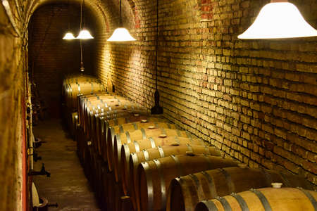 Cellar with wine barrels for agingの写真素材