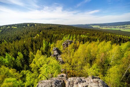 View from the rock to the green valley through the forestの写真素材